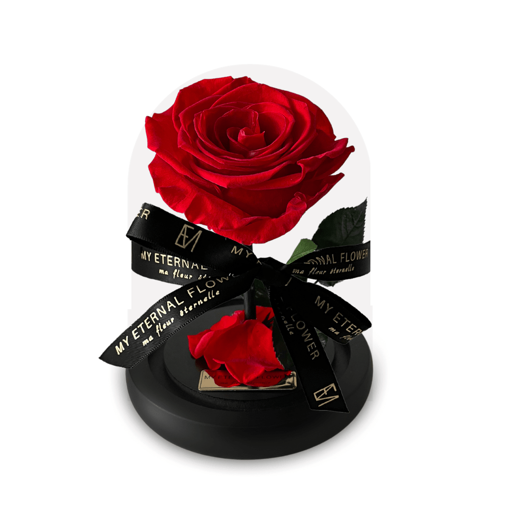 Mini Luxe Eternal Rose Dome in Red Rouge My Eternal Flower