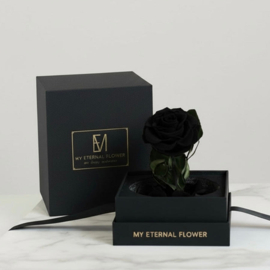 Mini Luxe Eternal Rose Dome in Noir Black