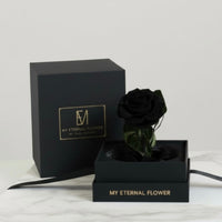 Mini Luxe Eternal Rose Dome in Noir Black