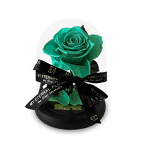 Mini Luxe Eternal Rose Dome in Tiffany Blue