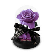 Mini Luxe Eternal Rose Dome in Lilac Purple
