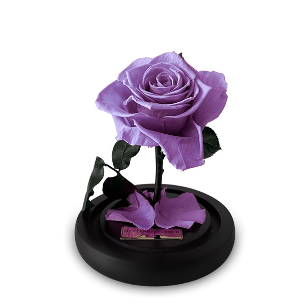 Mini Luxe Eternal Rose Dome in Lilac Purple