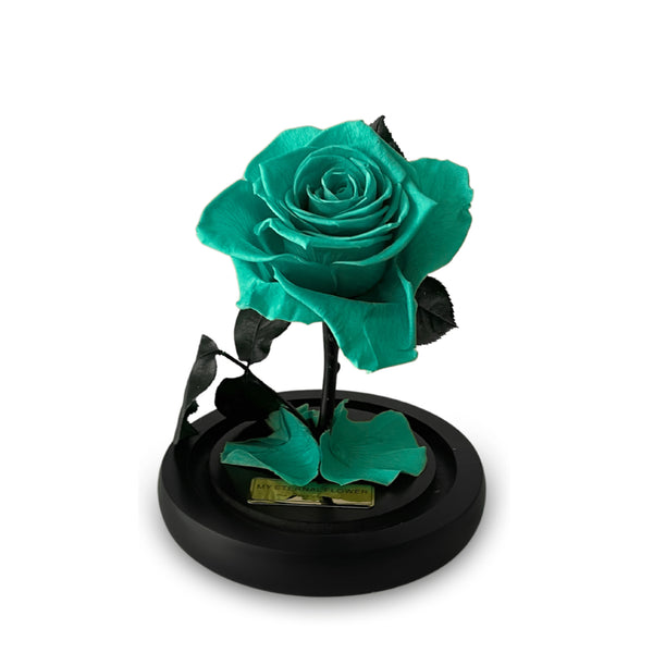 Mini Luxe Eternal Rose Dome in Tiffany Blue