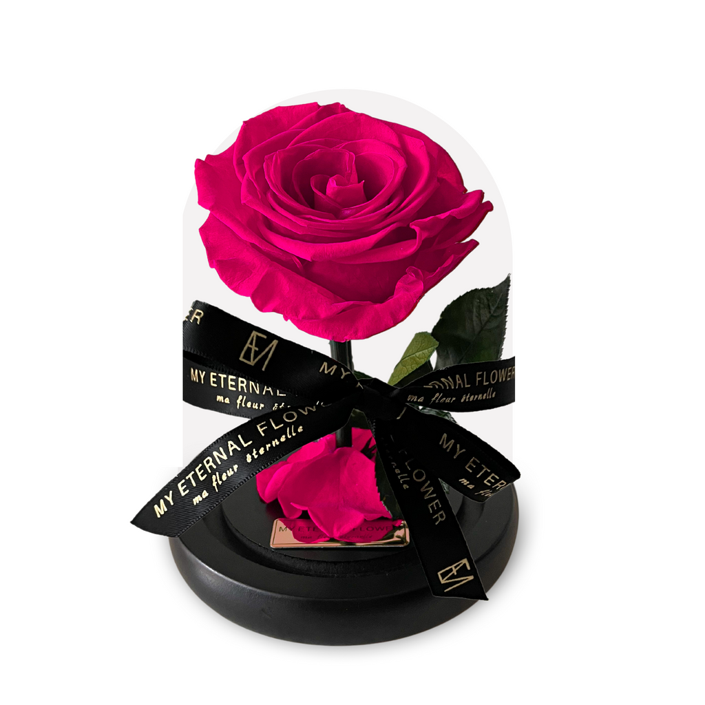 Mini Luxe Eternal Rose Dome in Pink Rose – My Eternal Flower
