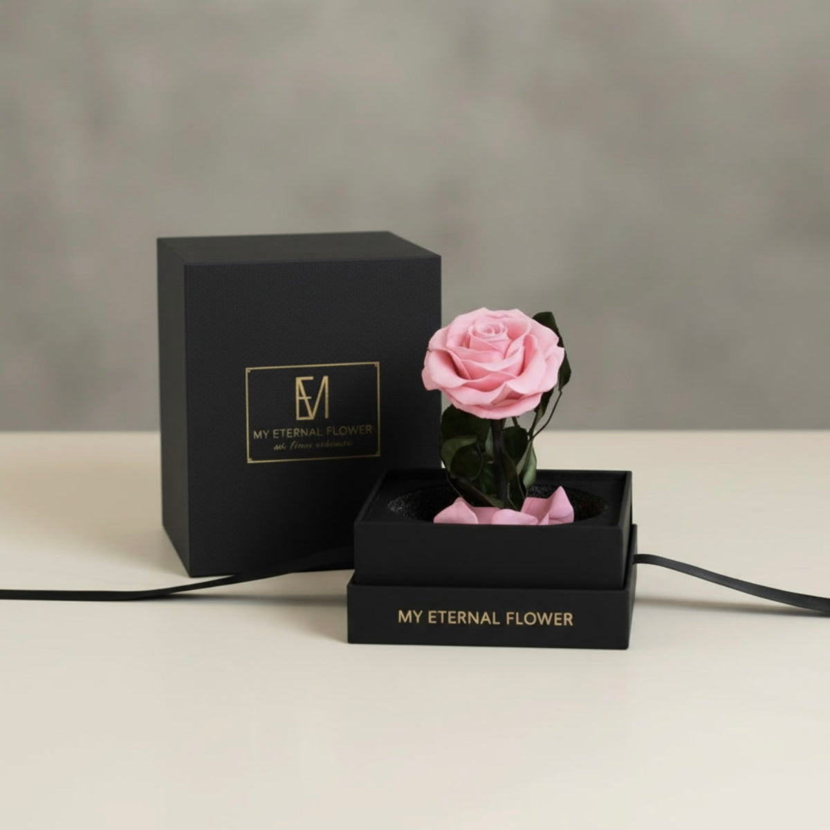 Mini Luxe Eternal Rose Dome in Pink Rose