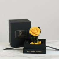 Mini Luxe Eternal Rose Dome in Yellow