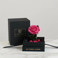 Mini Luxe Eternal Rose Dome in Hot Pink