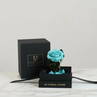 Mini Luxe Eternal Rose Dome in Tiffany Blue