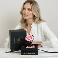 Mini Luxe Eternal Rose Dome in Pink Rose