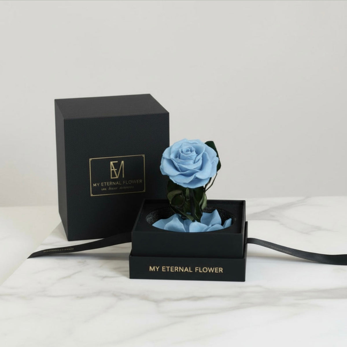 Mini Luxe Eternal Rose Dome in Aqua Blue