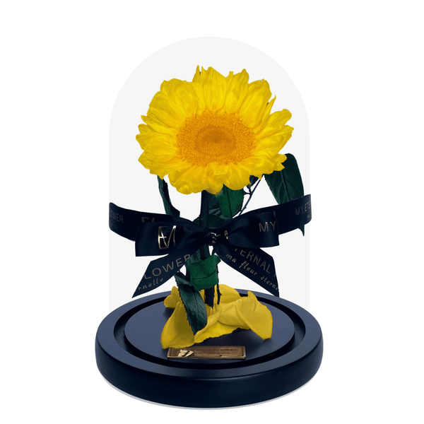 Luxe Sunflower Dome in Lumiere Du Soleil - My Eternal Flower