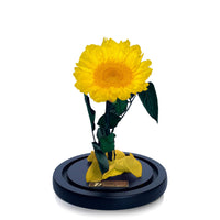 Luxe Sunflower Dome in Lumiere Du Soleil - My Eternal Flower