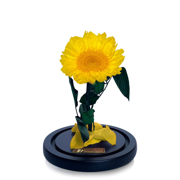 Luxe Sunflower Dome in Lumiere Du Soleil - My Eternal Flower