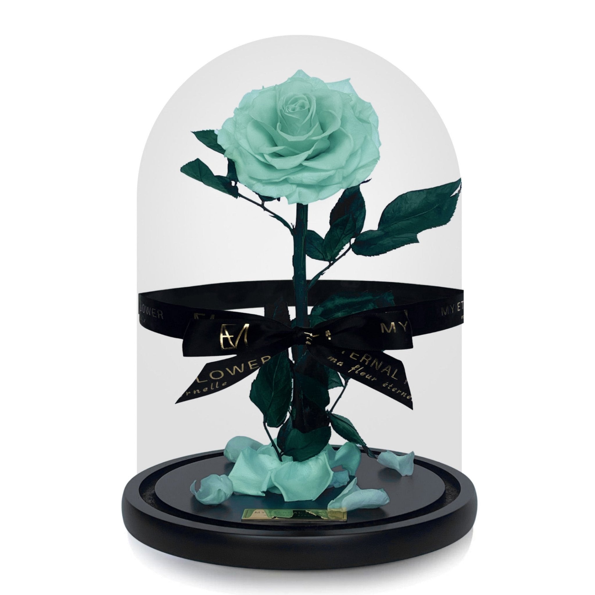 Aquamarine rose shop