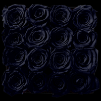 Luxe Square - 16 Eternal Roses