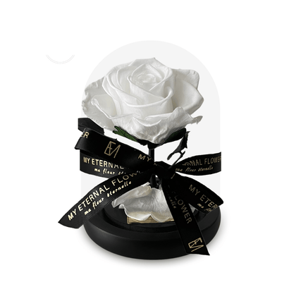 Real Roses That Last A Year | Eternal Flower® & Luxury Gifts – My ...