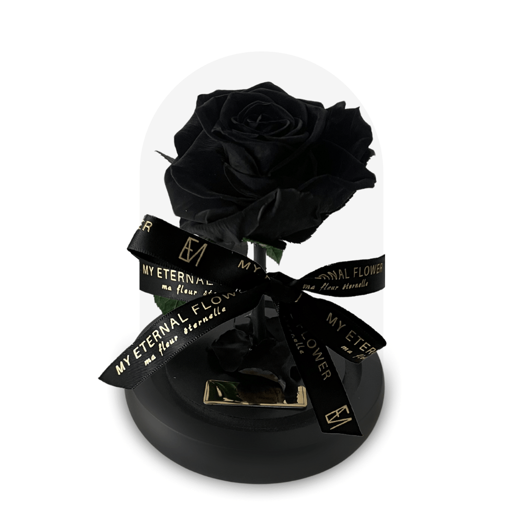 Mini Luxe Eternal Rose Dome in Noir Black – My Eternal Flower